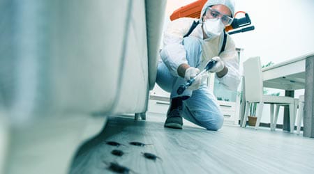 Pest Control background
